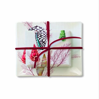 Fringe Studio Tray and Soap Set - Red Shell