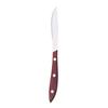 9" Pointed Tip Steak Knife, Stainless Steel, Pakkawood Handle view 1