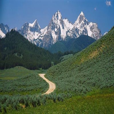 Walls 360 Peel & Stick Wall Mural: Dirt Road Sawtooth National Recreation Area (36 in x 12 in)