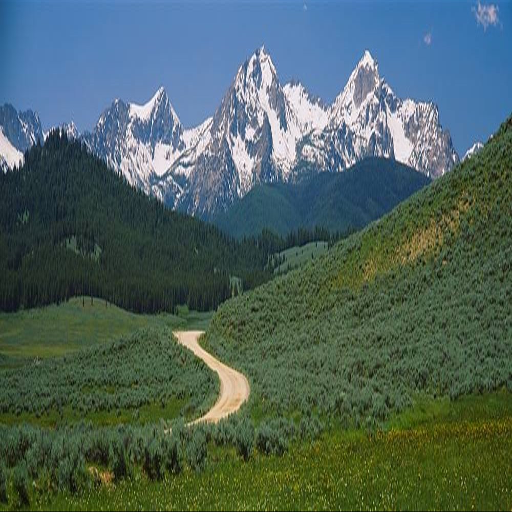 Walls 360 Peel & Stick Wall Mural: Dirt Road Sawtooth National Recreation Area (36 in x 12 in)