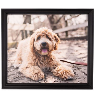 ArtToFrames 14x29 Inch Black Picture Frame, This 1.00 Inch Custom Wood Poster Frame is Black - Comes with Foam Backing 3/16 inch and Regular Acrylic (FBPL0066-60823-YBLK-14x29)