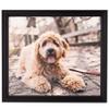 ArtToFrames 14x29 Inch Black Picture Frame, This 1.00 Inch Custom Wood Poster Frame is Black - Comes with Foam Backing 3/16 inch and Regular Acrylic (FBPL0066-60823-YBLK-14x29) view 1