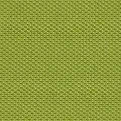 Steelcase Gesture Office Chair - Cogent: Connect Wasabi Fabric, Medium Seat Height, Shell Back, Dark on Dark Frame, Lumbar Support