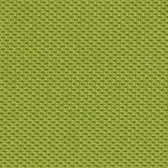 Steelcase Gesture Office Chair - Cogent: Connect Wasabi Fabric, Medium Seat Height, Shell Back, Dark on Dark Frame, Lumbar Support