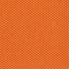 Steelcase Gesture Office Chair - Cogent: Connect Tangerine Fabric, Medium Seat Height, Shell Back, Light on Dark Frame, Lumbar Support