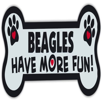 Dog Bone Shaped Magnets: Beagles Have More Fun! | Cars, Trucks, Mailboxes