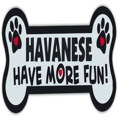 Crazy Sticker Guy Dog Bone Shaped Magnets: Havanese Have More Fun! | Cars, Trucks, Mailboxes