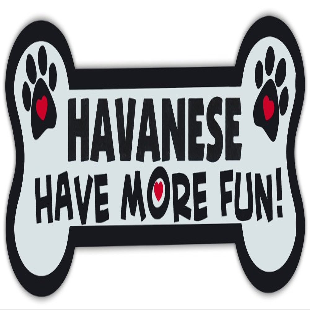 Crazy Sticker Guy Dog Bone Shaped Magnets: Havanese Have More Fun! | Cars, Trucks, Mailboxes