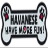 Crazy Sticker Guy Dog Bone Shaped Magnets: Havanese Have More Fun! | Cars, Trucks, Mailboxes view 1
