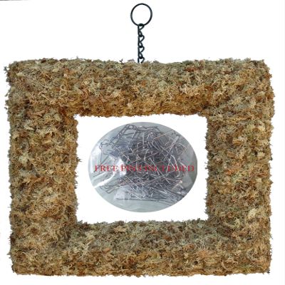 21" Living Wreath Sphagnum Moss Square Form Complete