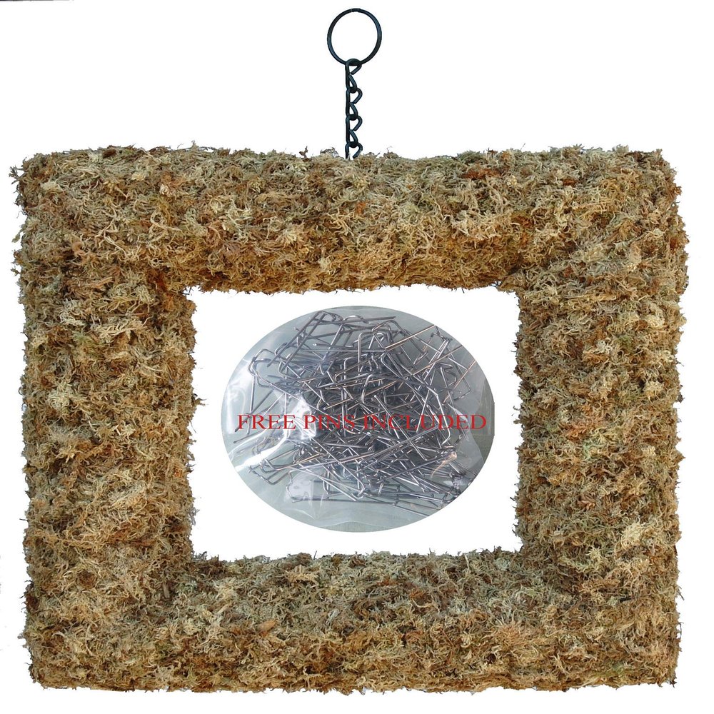 21" Living Wreath Sphagnum Moss Square Form Complete