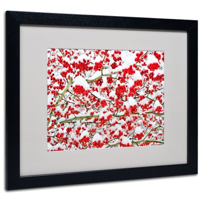 Trademark Fine Art Winter Berries in the Snow by Kurt Shaffer, Black Frame, 16 by 20-Inch