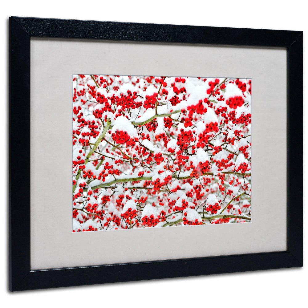 Trademark Fine Art Winter Berries in the Snow by Kurt Shaffer, Black Frame, 16 by 20-Inch