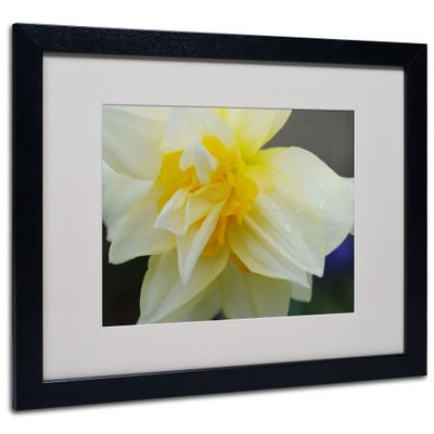 Trademark Fine Art Sparkling Truth by Monica Fleet, Black Frame, 16 by 20-Inch
