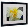 Trademark Fine Art Sparkling Truth by Monica Fleet, Black Frame, 16 by 20-Inch view 1