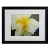Trademark Fine Art Sparkling Truth by Monica Fleet, Black Frame, 16 by 20-Inch view 2