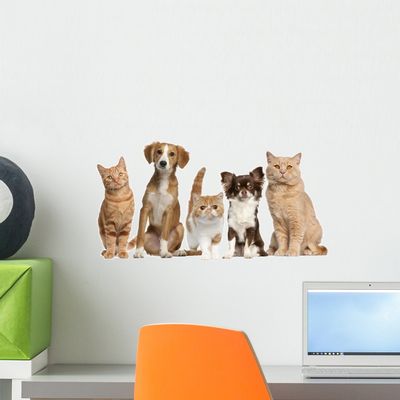 Wallmonkeys WM137532 Cats and Dogs Wall Decal Peel and Stick Graphic (18 in W x 10 in H)