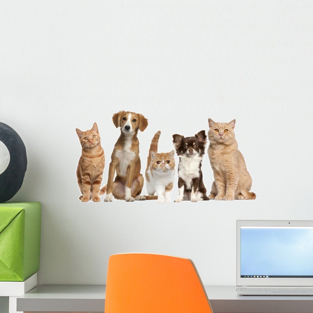 Wallmonkeys WM137532 Cats and Dogs Wall Decal Peel and Stick Graphic (18 in W x 10 in H)