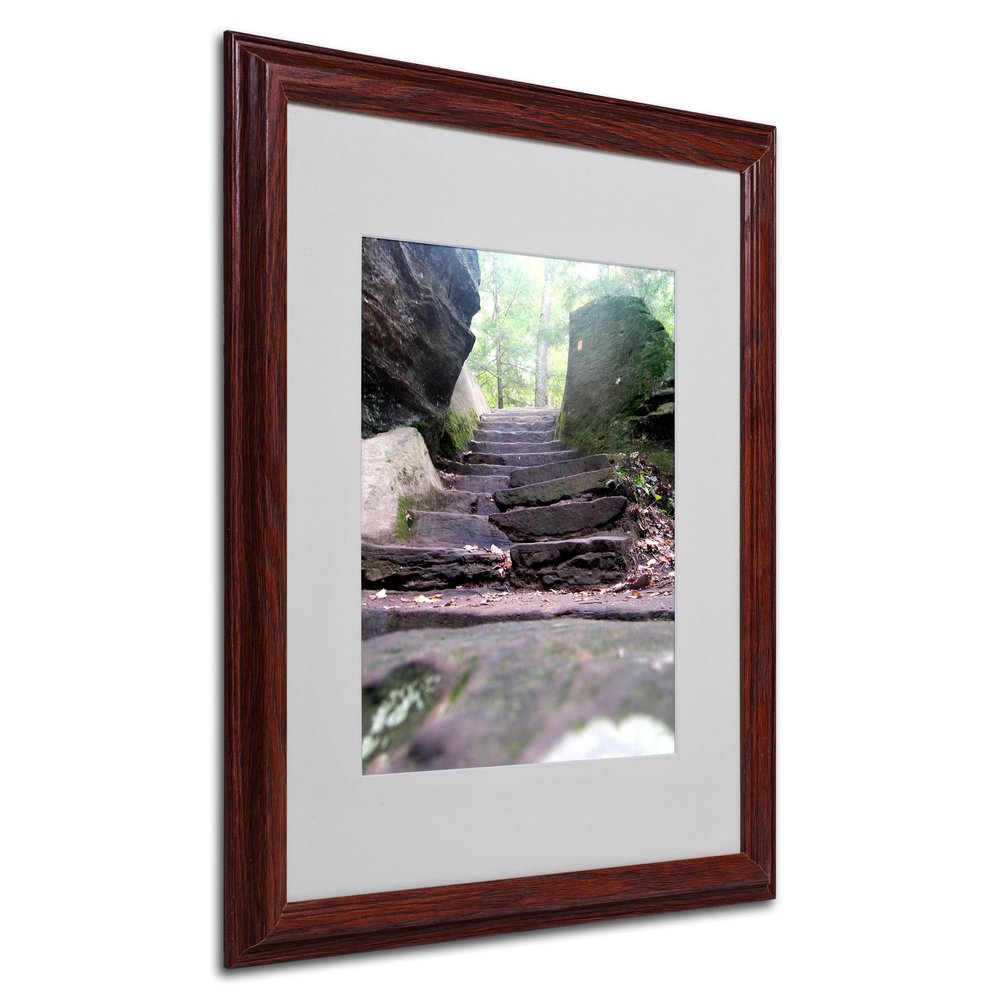 Trademark Fine Art Endless Stairway Canvas Art by Monica Fleet, 16 by 20-Inch, Wood Frame