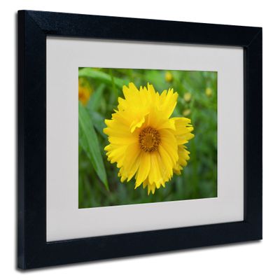 Trademark Fine Art Purity Canvas Art by Monica Fleet, 11 by 14-Inch, White Matte with Black Frame