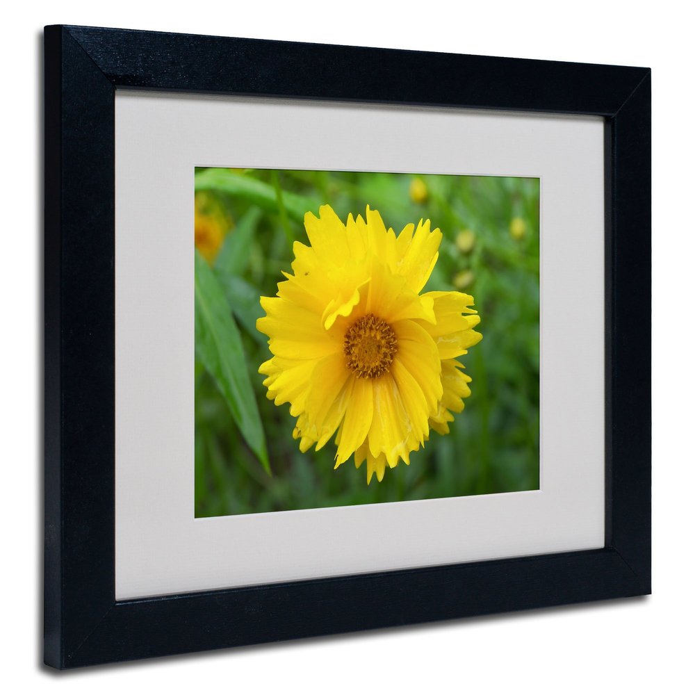 Trademark Fine Art Purity Canvas Art by Monica Fleet, 11 by 14-Inch, White Matte with Black Frame