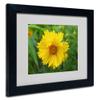 Trademark Fine Art Purity Canvas Art by Monica Fleet, 11 by 14-Inch, White Matte with Black Frame view 1