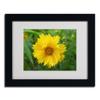 Trademark Fine Art Purity Canvas Art by Monica Fleet, 11 by 14-Inch, White Matte with Black Frame view 2