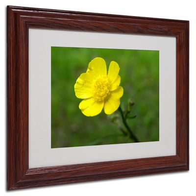 Trademark Fine Art Unadorned Canvas Art by Monica Fleet, 11 by 14-Inch, White Matte with Wood Frame