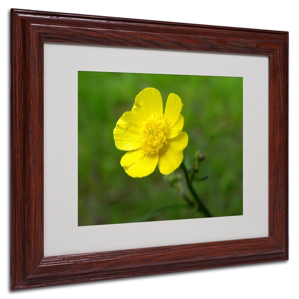 Trademark Fine Art Unadorned Canvas Art by Monica Fleet, 11 by 14-Inch, White Matte with Wood Frame