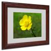 Trademark Fine Art Unadorned Canvas Art by Monica Fleet, 11 by 14-Inch, White Matte with Wood Frame view 1