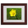 Trademark Fine Art Unadorned Canvas Art by Monica Fleet, 11 by 14-Inch, White Matte with Wood Frame view 2