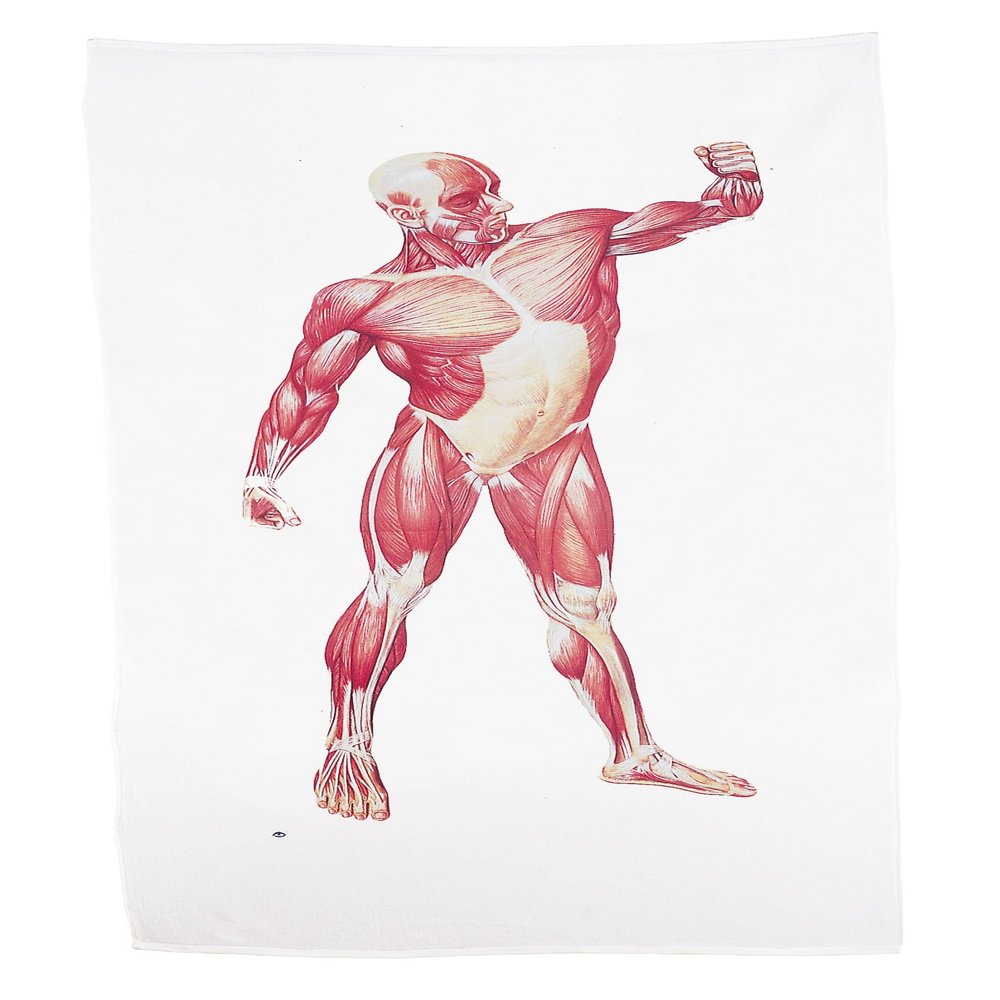 3B Scientific W11841 Bath Towel, Muscleman