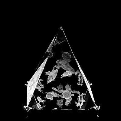 ASFOUR CRYSTAL 1051-100-25 4 L x 3.75 H x 4 W in. Crystal Laser-Engraved Sea Life Sealife & Nautical Laser-Cut