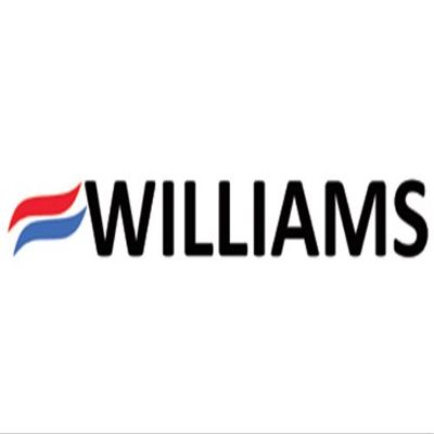 Williams Flame Sensor #P271100