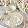 " OCCASIONS " 120 Plates Pack, Heavyweight Disposable Wedding Party Plastic Plates (6.25'' Dessert/Bread Plate, Plain Ivory) view 3