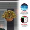 National Tree Company 20 in Pre-Lit Crestwood Spruce Artificial Christmas Hanging Basket, Christmas Decoration with Glitter, Pinecones, Red Berries, 50 Warm White LED Lights, 72 Tips, Timer, Green view 3