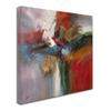 Trademark Fine Art Bounce by Ricardo Tapia Wall Decor, 18 by 18-Inch view 2