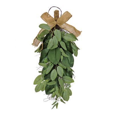 24 IN. arborvitae tree
