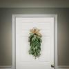 24 IN. arborvitae tree view 2