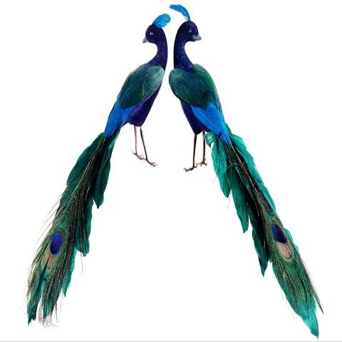 Arcadia Silk Plantation 11" Glittered Peacock (2 ea./set) Peacock (Pack of 6)