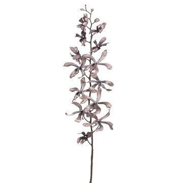 39" Vanda Orchid Spray Gray (pack of 12)