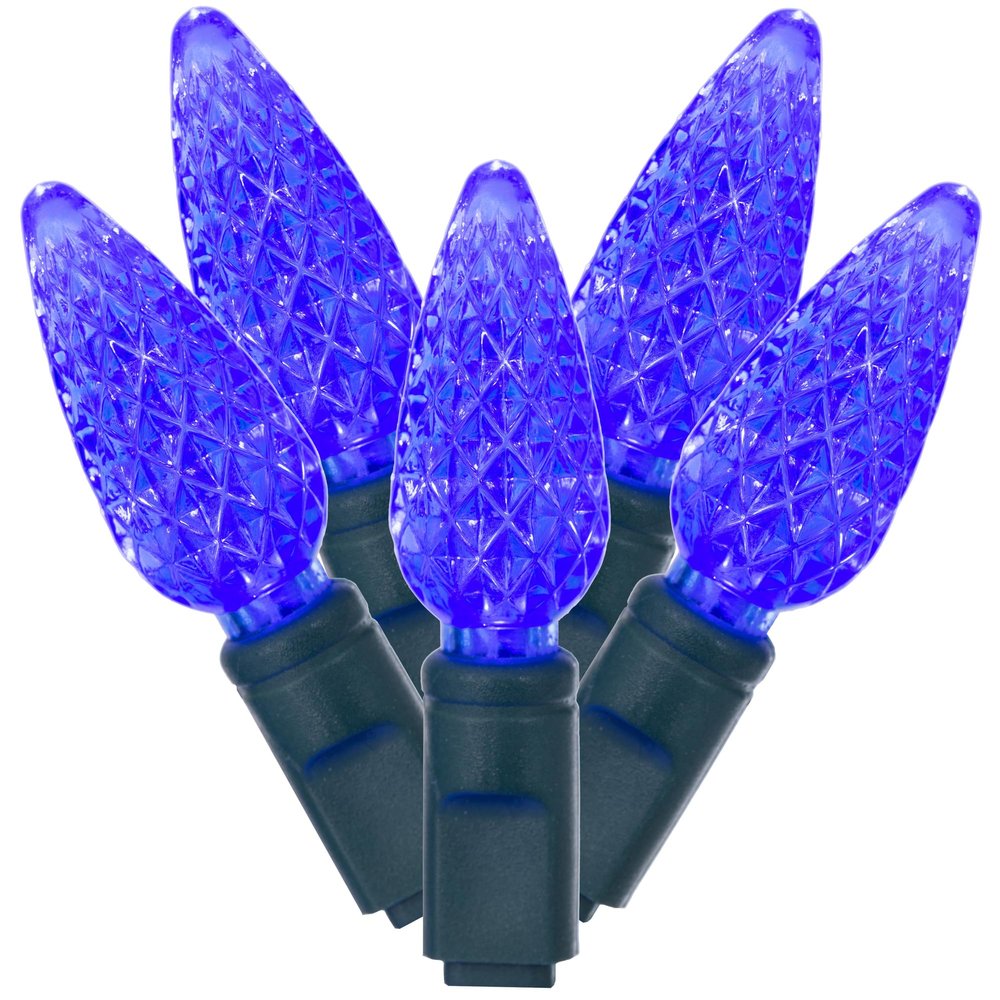 Vickerman 100 Light C6 LED Light Set Blue Lights on Green Wire