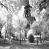 Afternoon in Paris, Parc du Champ de Mars By: Anon 24 x 36 Art Print Poster view 1