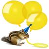 Wallmonkeys WM283653 Funny Chipmunk Inflating Yellow Balloons Peel and Stick Wall Decals, 18" H x 15" W-Small view 2