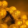 Wintergreen Lighting 24' Raspberry LED String Lights, Gold view 1