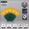 Wintergreen Lighting 24' Raspberry LED String Lights, Gold view 2