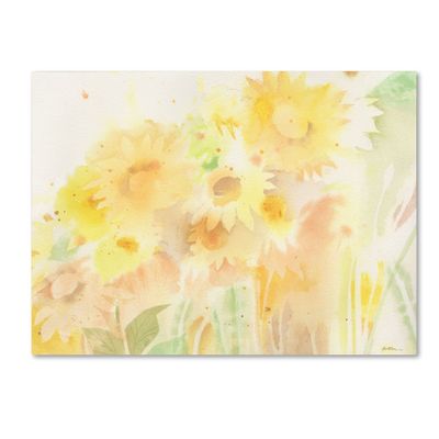 Trademark Fine Art Wildflower Bouquet 2 Artwork with Wood Frame by Sheila Golden, 16 by 20-Inch