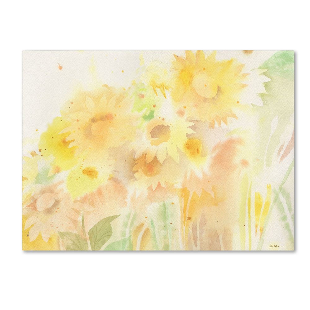 Trademark Fine Art Wildflower Bouquet 2 Artwork with Wood Frame by Sheila Golden, 16 by 20-Inch
