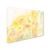 Trademark Fine Art Wildflower Bouquet 2 Artwork with Wood Frame by Sheila Golden, 16 by 20-Inch view 2