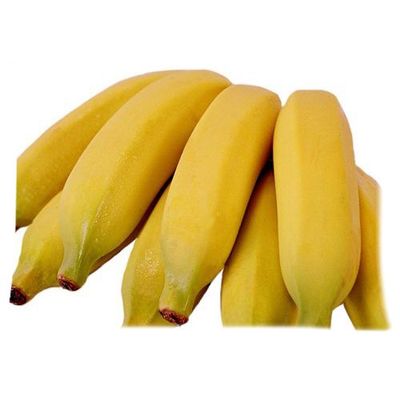 Banana fruit Zippered Pillow Cases Cover 20x30 Inch